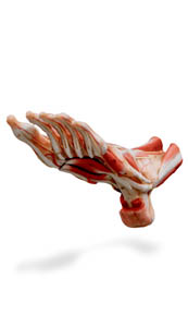 3d foot 3rd layer