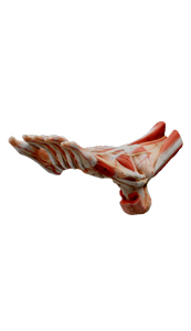 3d foot 4th layer